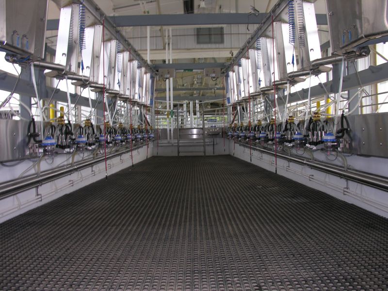 The dairy's state-of-the-art milking parlor on the Little River Unit